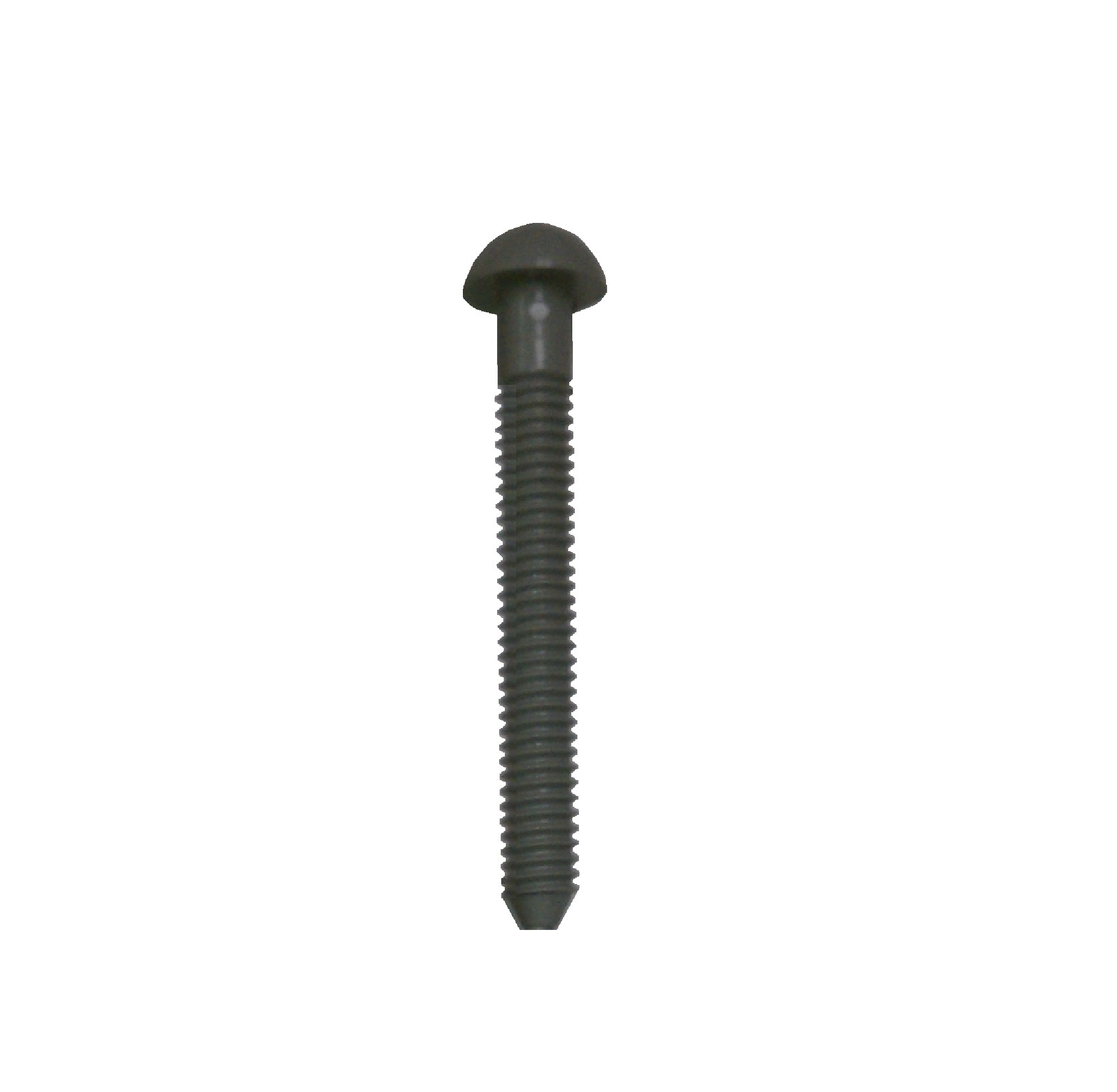2" torx screw, plastic torx screw